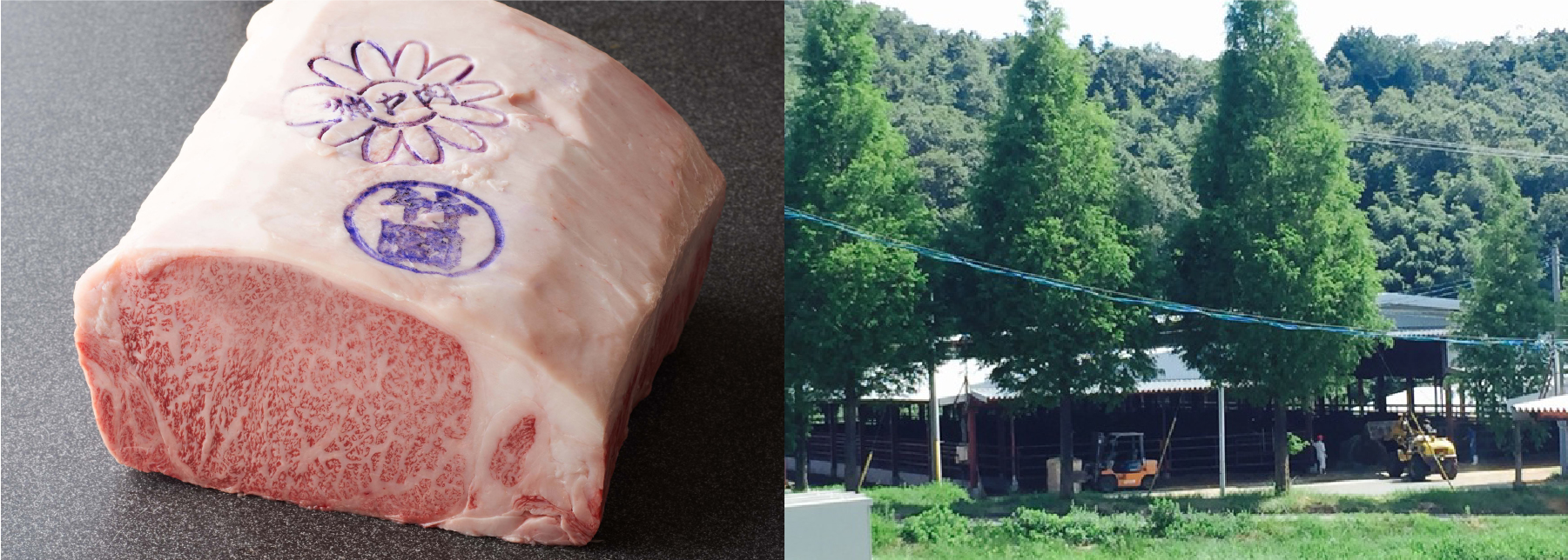 竹園のお肉「5つのこだわり」